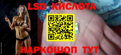 винт Донецк