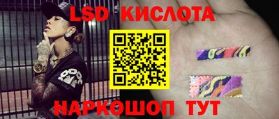 винт Донецк
