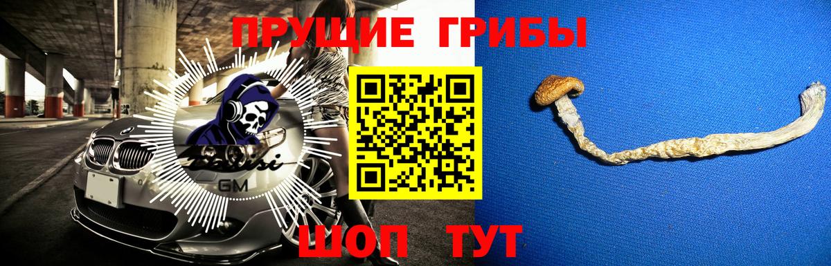 наркота  Вход с VPN  Мичуринск  Псилоцибиновые грибы прущие грибы 