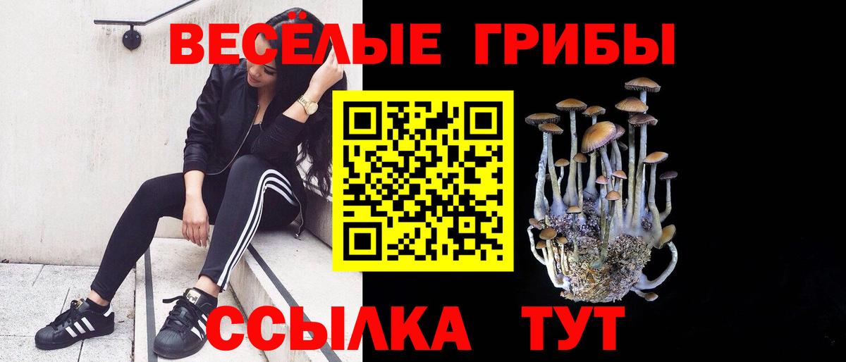 Псилоцибиновые грибы прущие грибы Мичуринск